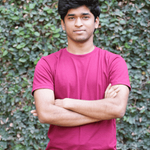 Satyajit Biswal
